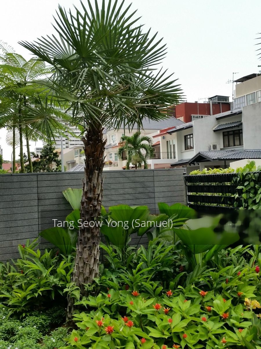 7 on Chapel (D15), Apartment #130553352
